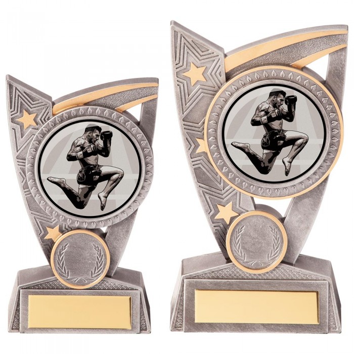 TRIUMPH MARTIAL ARTS TROPHY - 2 SIZES - 12.5CM - 15CM